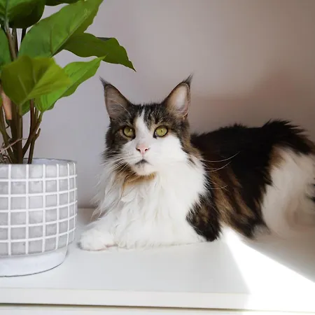 Apartamento Private - Fast Wi-fi - Pool *